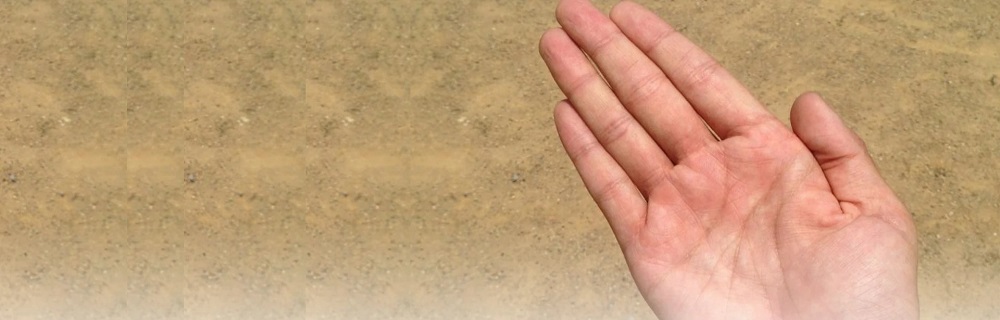 palmistry
